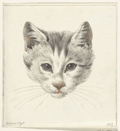 Kattehoved, set forfra i levende lys af Jean Bernard