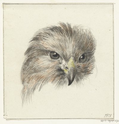 Hovedet af en rovfugl af Jean Bernard