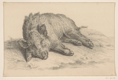 Liggende vildsvin af Jean Bernard