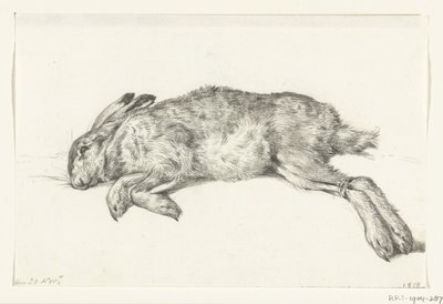 Liggende død hare af Jean Bernard