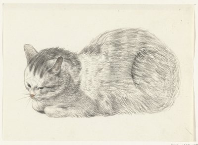 Liggende kat, til venstre af Jean Bernard