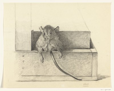 Mus (i en fælde?) af Jean Bernard