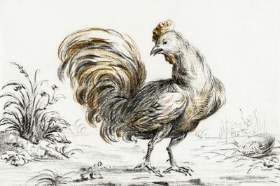 Tidsplan af Jean Bernard