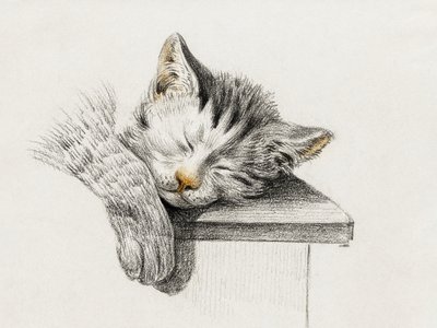 Tegning af en sovende kat af Jean Bernard