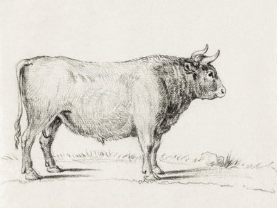 Standing Bull af Jean Bernard