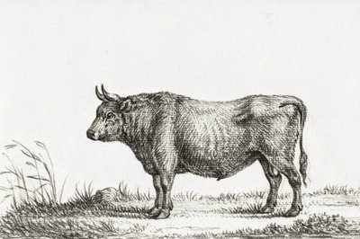 Standing Bull af Jean Bernard