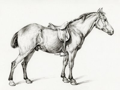 Stående hest af Jean Bernard (1775–1883) af Jean Bernard