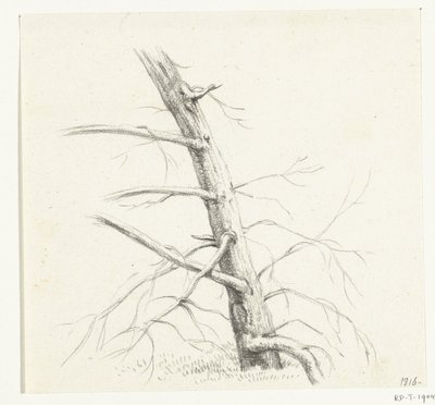 Studie af et træ af Jean Bernard