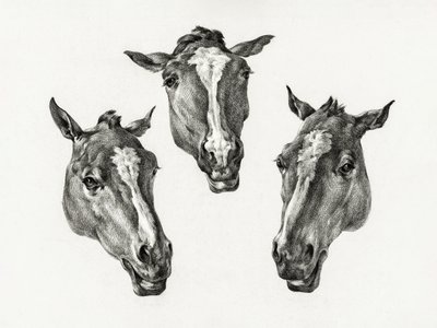 Tre hestehoveder (1812) af Jean Bernard