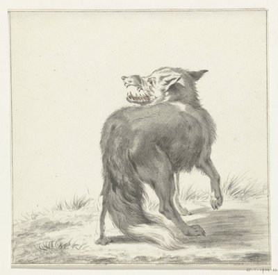 Vos af Jean Bernard