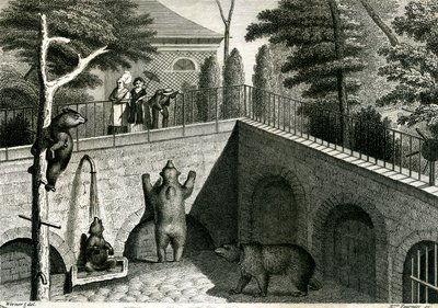 Bjørnehule i en zoologisk have af Jean Charles Werner