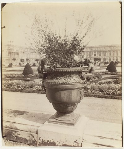 Versailles, vase af Ballin af Jean Eugène Auguste Atget