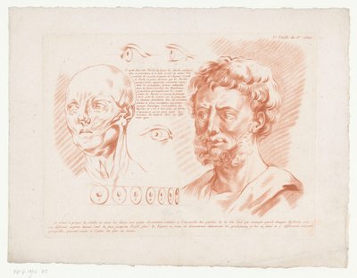 To mænds hoveder og øjne fra forskellige synsvinkler 3.e Feuille du 8e Cahier. (titel på objekt) Kompositioner med dele af den menneskelige krop (serietitel) Huitième Cahier de Principes de Design (serietitel) af Jean Francois Janinet