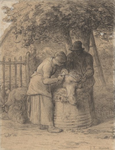 Sheepshearing Beneath a Tree, ca. 1854 (conté farveblyant med kuglepen og brunt blæk og gouache på papir) af Jean Francois Millet