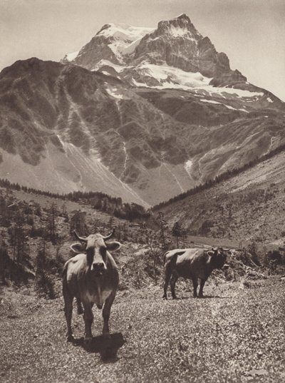 Schweiz: Todi af Jean Gaberell