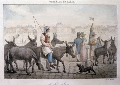 Tidligere gadehandel i Paris: købmand af æselmælk (Ane dans Paris) - Indgravering af Jean Henry Marlet (1771-1847) i "" Les Tableaux de Paris"", serie på 72 tryk, slutningen af ​​det 19. århundrede af Jean Henri Marlet