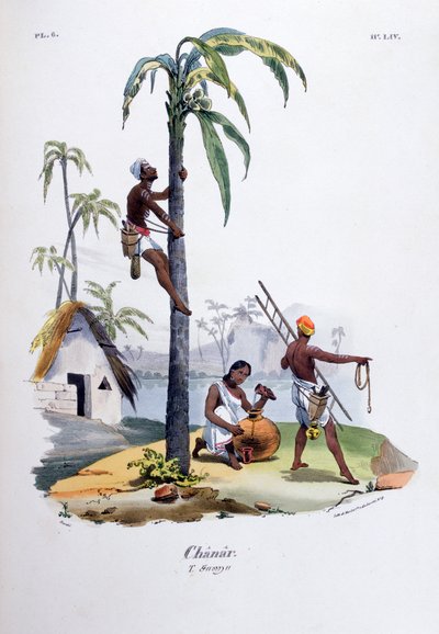 Chanar, 1828 af Jean Henri Marlet