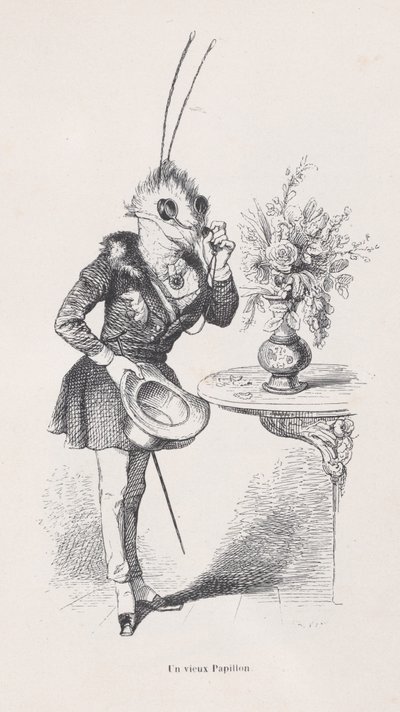 En gammel sommerfugl fra scener fra dyrenes private og offentlige liv, ca. 1837-47. af Jean Ignace Isidore Gérard