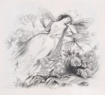 Sylfen fra The Complete Works of Béranger, 1836. af Jean Ignace Isidore Gérard