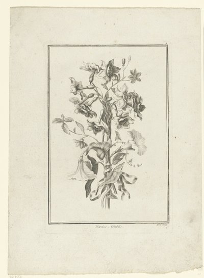Buket af påskelilje og bindweed Narcissus, Volubilis (titel på objekt) IIe Cahier de Bouquets (serietitel) af Jean Jacques Avril (I)