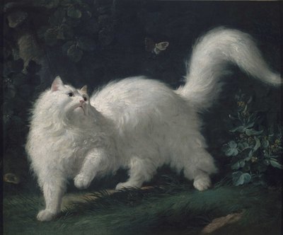 Angora kat jagter en sommerfugl, ca. 1760 (olie på lærred) af Jean Jacques Bachelier