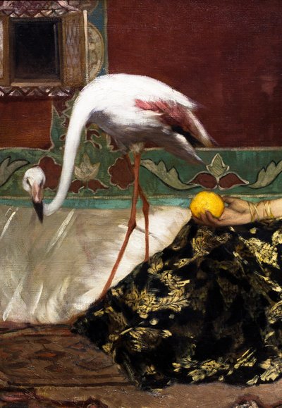 Den lyserøde flamingo (detalje) af Jean Joseph Benjamin Constant