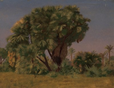 Undersøgelse af palmetræer, sandsynligvis 1868. af Jean Leon Gerome