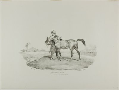 En arabisk hest, planche 8 fra Forskellige motiver tegnet fra livet og på sten (Den engelske suite) af Jean Louis André Théodore Géricault
