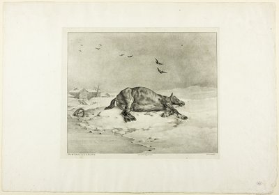 Død hest af Jean Louis André Théodore Géricault