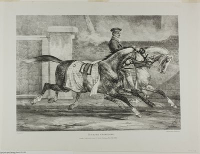 Horses Exercising, planche 6 fra Various Subjects Drawn from Life and on Stone (The English Suite) af Jean Louis André Théodore Géricault