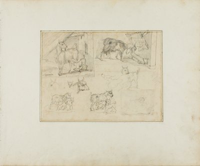 Skitser af geder af Jean Louis André Théodore Géricault
