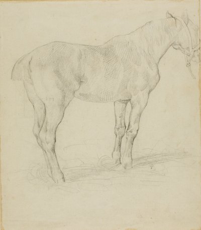 Stående hest af Jean Louis André Théodore Géricault