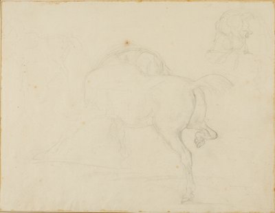 Studie af en hest, der drejer hovedet og løfter bagbenet af Jean Louis André Théodore Géricault