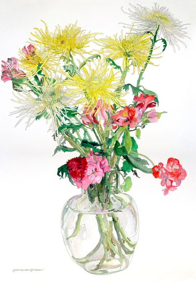 Edderkoppe-mums af Jean Swan Gordon