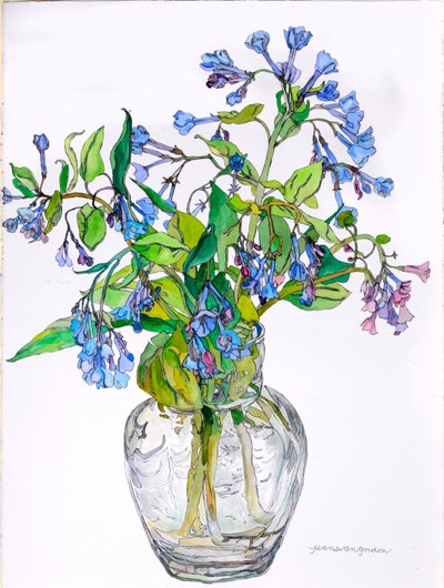 Virginia Blue Bells in Narrow Necked Vase, 2006 (akvarel og blæk på papir) af Jean Swan Gordon