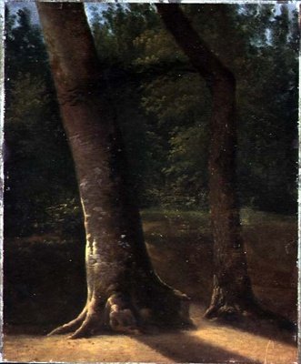 Study of Trees, c.1815 (olie på papir) af Jean Victor (attr. to) Bertin