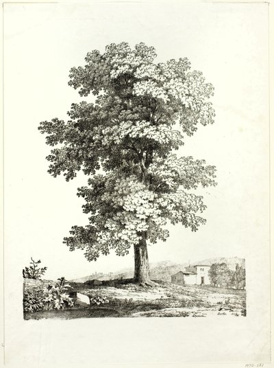 Undersøgelse af et træ af Jean Victor Bertin