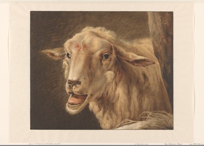 fårehoved af Jean Zacherie Mazel