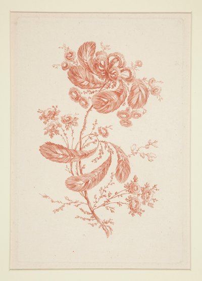 Uden titel (Ideelle blomster), fra et sæt på seks af Jeanne Deny