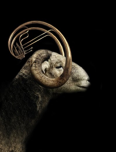 Musical Ram-profil af Jeffrey Hummel