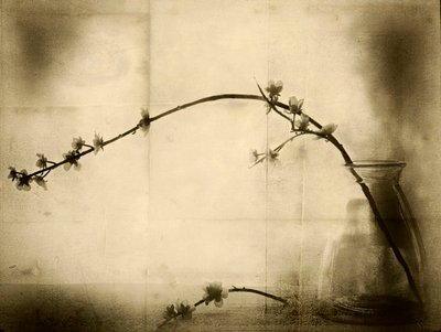Blomsterstilleben i sepiafarver af Jeffrey Hummel