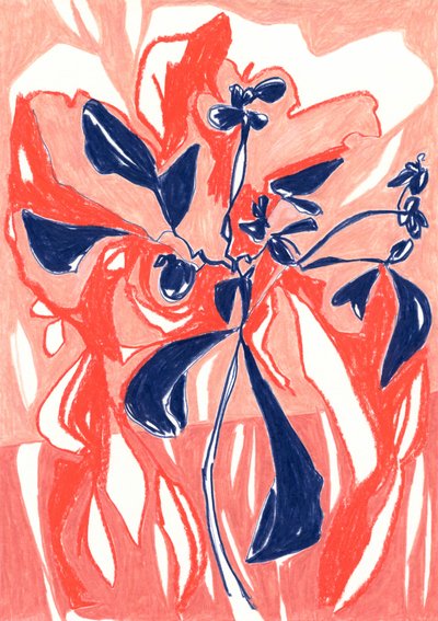 Levende koralblomster af Jenja Braun