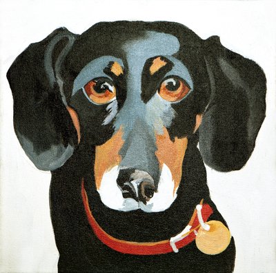 Buster, 2012 (akryl på lærred) af Jennifer Abbott