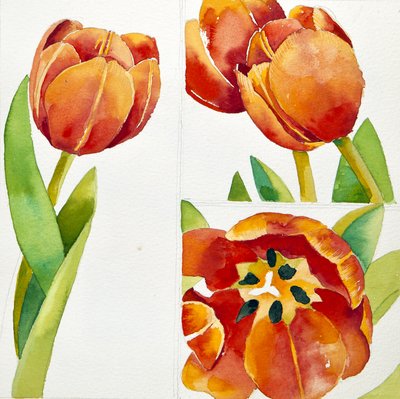 Tre tulipanstudier i en sikker, 2013 (akvarel) af Jennifer Abbott