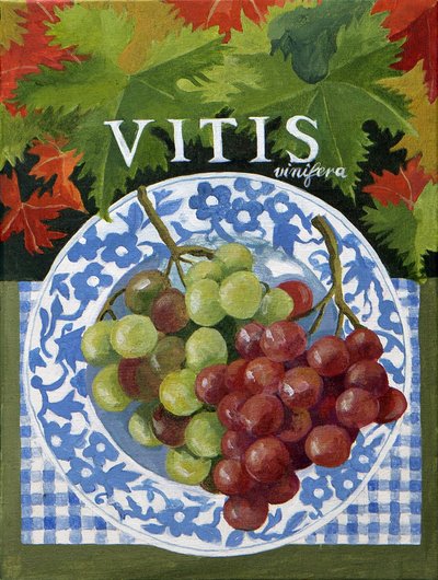 Vitus (druer), 2014 (akryl på lærred) af Jennifer Abbott