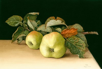 Bramleys af Jenny Barron