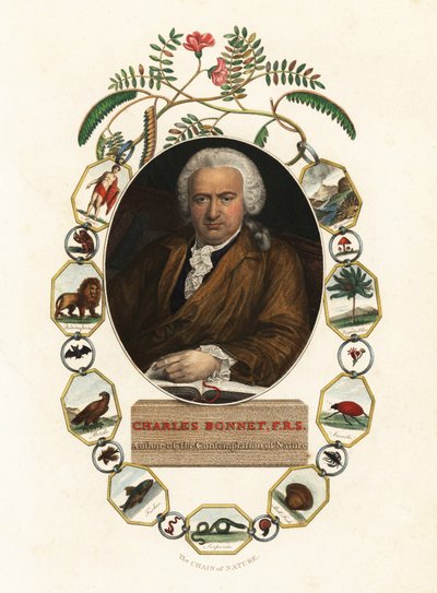 Portræt af Charles Bonnet, Genevanske naturforsker.1803 (gravering) af Jens Juel