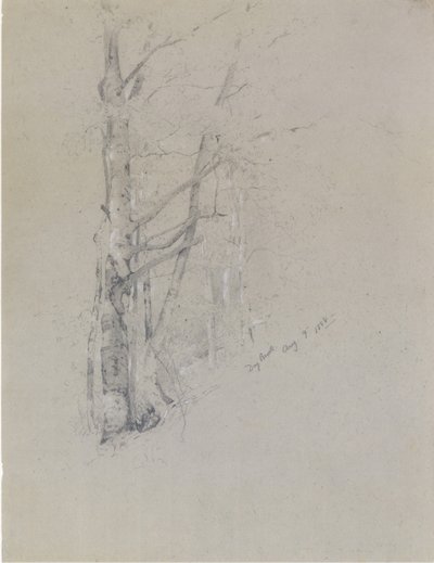 Dry Brook, 1888. af Jervis McEntee