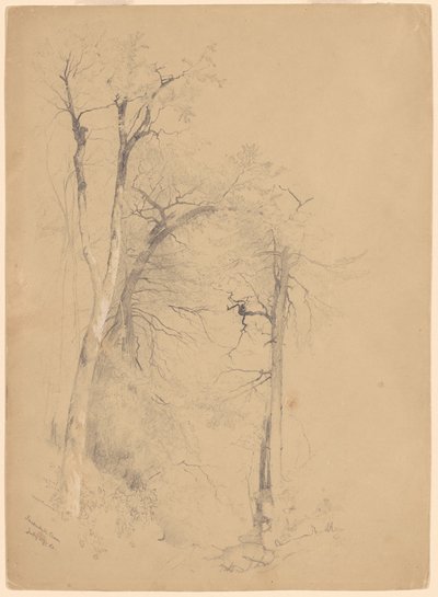 Kaaterskill nellike af Jervis McEntee