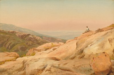 Mount Desert Island, Maine af Jervis McEntee